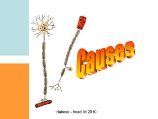 triakoso - head tilt 2010

 