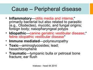 Cause – Peripheral disease
• Inflammatory—otitis media and interna;*
primarily bacterial but also related to parasitic
(e.g., Otodectes), mycotic, and fungal origins;
foreign body; nasopharyngeal polyps
• Idiopathic—canine geriatric vestibular disease;*
feline idiopathic vestibular disease*
• Immune mediated—polyneuropathy
• Toxic—aminoglycosides; lead;
hexachlorophene
• Traumatic—tympanic bulla or petrosal bone
fracture; ear flush
triakoso - head tilt 2010

 