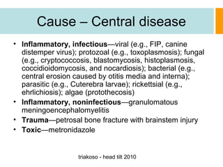 Cause – Central disease
• Inflammatory, infectious—viral (e.g., FIP, canine
distemper virus); protozoal (e.g., toxoplasmosis); fungal
(e.g., cryptococcosis, blastomycosis, histoplasmosis,
coccidioidomycosis, and nocardiosis); bacterial (e.g.,
central erosion caused by otitis media and interna);
parasitic (e.g., Cuterebra larvae); rickettsial (e.g.,
ehrlichiosis); algae (protothecosis)
• Inflammatory, noninfectious—granulomatous
meningoencephalomyelitis
• Trauma—petrosal bone fracture with brainstem injury
• Toxic—metronidazole

triakoso - head tilt 2010

 