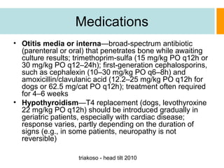 Medications
• Otitis media or interna—broad-spectrum antibiotic
(parenteral or oral) that penetrates bone while awaiting
culture results; trimethoprim-sulfa (15 mg/kg PO q12h or
30 mg/kg PO q12–24h); first-generation cephalosporins,
such as cephalexin (10–30 mg/kg PO q6–8h) and
amoxicillin/clavulanic acid (12.2–25 mg/kg PO q12h for
dogs or 62.5 mg/cat PO q12h); treatment often required
for 4–6 weeks
• Hypothyroidism—T4 replacement (dogs, levothyroxine
22 mg/kg PO q12h) should be introduced gradually in
geriatric patients, especially with cardiac disease;
response varies, partly depending on the duration of
signs (e.g., in some patients, neuropathy is not
reversible)
triakoso - head tilt 2010

 