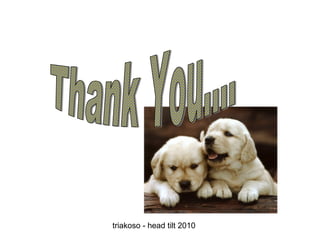 triakoso - head tilt 2010

 