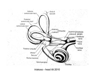 triakoso - head tilt 2010

 