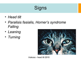 Signs
• Head tilt
• Paralisis fasialis, Horner’s syndrome
Falling
• Leaning
• Turning

triakoso - head tilt 2010

 