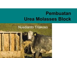 Pembuatan
Urea Molasses Block
Nusdianto Triakoso

triakoso

 