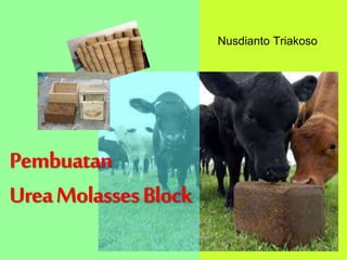Pembuatan 
Urea Molasses Block 
Nusdianto Triakoso 
 
