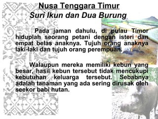 Nusa Tenggara Timur
    Suri Ikun dan Dua Burung
        Pada jaman dahulu, di pulau Timor
hiduplah seorang petani dengan isteri dan
empat belas anaknya. Tujuh orang anaknya
laki-laki dan tujuh orang perempuan.

     Walaupun mereka memiliki kebun yang
besar, hasil kebun tersebut tidak mencukupi
kebutuhan keluarga tersebut. Sebabnya
adalah tanaman yang ada sering dirusak oleh
seekor babi hutan.
 