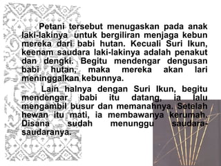 Petani tersebut menugaskan pada anak
laki-lakinya untuk bergiliran menjaga kebun
mereka dari babi hutan. Kecuali Suri Ikun,
keenam saudara laki-lakinya adalah penakut
dan dengki. Begitu mendengar dengusan
babi hutan, maka mereka akan lari
meninggalkan kebunnya.
      Lain halnya dengan Suri Ikun, begitu
mendengar babi itu datang, ia lalu
mengambil busur dan memanahnya. Setelah
hewan itu mati, ia membawanya kerumah.
Disana      sudah    menunggu       saudara-
saudaranya.
 