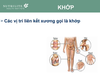 KHỚP
➢ Các vị trí liên kết xương gọi là khớp
 