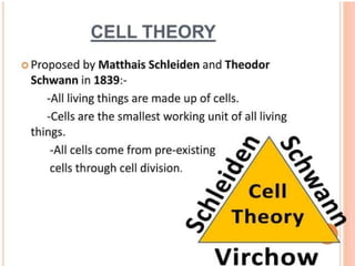 NUSRING INTRODUCTION TO PHYSIOLOGY.powerpoint
