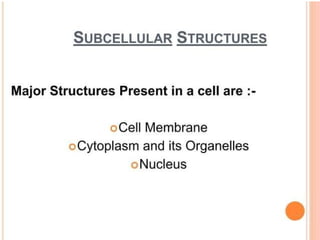 NUSRING INTRODUCTION TO PHYSIOLOGY.powerpoint