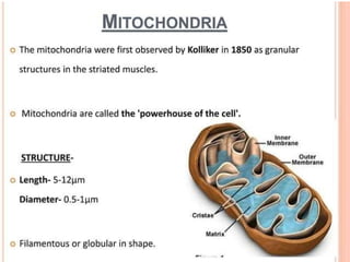 NUSRING INTRODUCTION TO PHYSIOLOGY.powerpoint