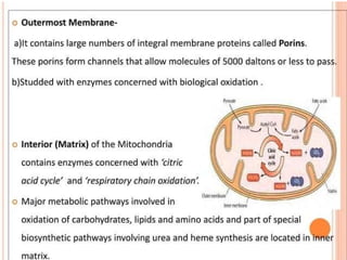 NUSRING INTRODUCTION TO PHYSIOLOGY.powerpoint