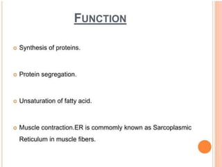 NUSRING INTRODUCTION TO PHYSIOLOGY.powerpoint
