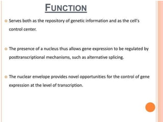 NUSRING INTRODUCTION TO PHYSIOLOGY.powerpoint