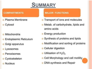 NUSRING INTRODUCTION TO PHYSIOLOGY.powerpoint