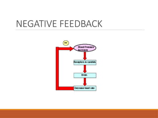 NEGATIVE FEEDBACK
 