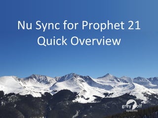 Nu Sync for Prophet 21
Quick Overview
 