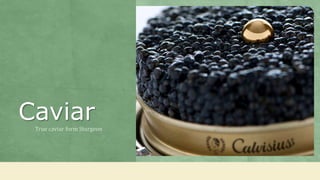 CaviarTrue caviar form Sturgeon
 