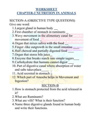 WORKSHEET
CHAPTER-2 NUTRITION IN ANIMALS
SECTION-A (OBJECTIVE TYPE QUESTIONS)
Give one word:
1.Largest gland in human body
2.First chamber of stomach in ruminants
3.Wavy movement in the alimentary canal for
movement of food
4.Organ that mixes saliva with the food
5.Finger -like outgrowth in the small intestine
6.Half chewed and partially digested food
7.Organ that stores bile juice
8.Enzyme that breaks starch into simple sugars
9.Carbohydrate that humans cannot digest
10. Part of digestive canal where absorption of water
and salts takes place
11. Acid secreted in stomach –
12. Which part of Amoeba helps in Movement and
Ingestion?
SECTION-B
1.How is stomach protected from the acid released in
it?
2.What are Ruminants?
3.What are villi? What is their function?
4.Name three digestive glands found in human body
and write their functions.
 