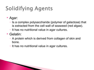    Agar:
    ◦ Is a complex polysaccharide (polymer of galactose) that
      is extracted from the cell wall of seaweed (red algae).
    ◦ It has no nutritional value in agar cultures.
   Gelatin:
    ◦ A protein which is derived from collagen of skin and
      bone.
    ◦ It has no nutritional value in agar cultures.
 