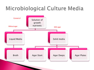 Consist of




Without agar       With agar
 