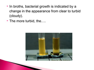  In broths, bacterial growth is indicated by a
  change in the appearance from clear to turbid
  (cloudy).
 The more turbid, the….
 