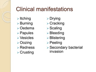 Clinical manifestations
 Itching
 Burning
 Oedema
 Papules
 Vesicles
 Oozing
 Redness
 Crusting
 Drying
 Cracking
 Scaling
 Bleeding
 Blistering
 Peeling
 Secondary bacterial
invasion
 