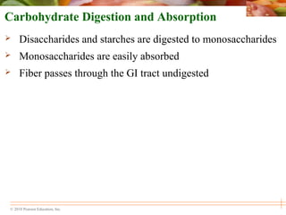 © 2010 Pearson Education, Inc.
Carbohydrate Digestion and Absorption
 Disaccharides and starches are digested to monosaccharides
 Monosaccharides are easily absorbed
 Fiber passes through the GI tract undigested
 