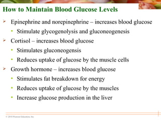 © 2010 Pearson Education, Inc.
How to Maintain Blood Glucose Levels
 Epinephrine and norepinephrine – increases blood glucose
• Stimulate glycogenolysis and gluconeogenesis
 Cortisol – increases blood glucose
• Stimulates gluconeogensis
• Reduces uptake of glucose by the muscle cells
 Growth hormone – increases blood glucose
• Stimulates fat breakdown for energy
• Reduces uptake of glucose by the muscles
• Increase glucose production in the liver
 