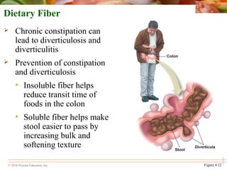 © 2010 Pearson Education, Inc. Figure 4.12
Dietary Fiber
 Chronic constipation can
lead to diverticulosis and
diverticulitis
 Prevention of constipation
and diverticulosis
• Insoluble fiber helps
reduce transit time of
foods in the colon
• Soluble fiber helps make
stool easier to pass by
increasing bulk and
softening texture
 