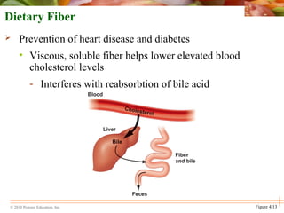 © 2010 Pearson Education, Inc. Figure 4.13
Dietary Fiber
 Prevention of heart disease and diabetes
• Viscous, soluble fiber helps lower elevated blood
cholesterol levels
- Interferes with reabsorbtion of bile acid
 