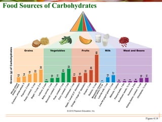 Figure 4.14
Food Sources of Carbohydrates
 
