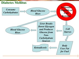 Liver Breaks
Down Glycogen
and Produces
Glucose from
Non-
Carbohydrate
Sources
Consume
Carbohydrates
Blood Glucose
Rises
Body
Uses Fat
for Fuel
Ketoadicosis
Blood Glucose
Rises
No Insulin
Available or
Cells
Resistant
Cell
Starves
Diabetes Mellitus
 
