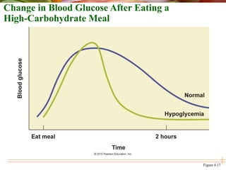 Figure 4.17
Change in Blood Glucose After Eating a
High-Carbohydrate Meal
 