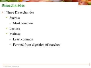 © 2010 Pearson Education, Inc.
Disaccharides
 Three Disaccharides
• Sucrose
- Most common
• Lactose
• Maltose
- Least common
- Formed from digestion of starches
 
