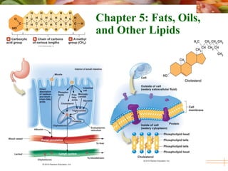 © 2010 Pearson Education, Inc.
Chapter 5: Fats, Oils,
and Other Lipids
 