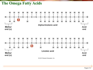 The Omega Fatty Acids
Figure 5.4
 