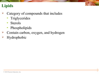© 2010 Pearson Education, Inc.
Lipids
 Category of compounds that includes
• Triglycerides
• Sterols
• Phospholipids
 Contain carbon, oxygen, and hydrogen
 Hydrophobic
 