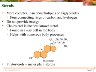 © 2010 Pearson Education, Inc.
Sterols
 More complex than phospholipids or triglycerides
• Four connecting rings of carbon and hydrogen
 Do not provide energy
 Cholesterol is the best known sterol
• Found in every cell in the body
• Helps with numerous body processes
 Phytosterols – major plant sterols
Figure 5.11
 