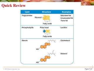 © 2010 Pearson Education, Inc.
Quick Review
Figure 5.12
 