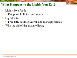 © 2010 Pearson Education, Inc.
What Happens to the Lipids You Eat?
 Lipids from foods
• Fat, phospholipids, and sterols
 Digested to
• Free fatty acids, glycerol, and monoglycerides
 With the aid of the enzyme lipase
 