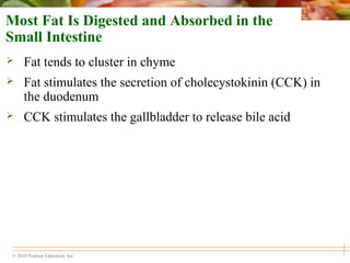 © 2010 Pearson Education, Inc.
Most Fat Is Digested and Absorbed in the
Small Intestine
 Fat tends to cluster in chyme
 Fat stimulates the secretion of cholecystokinin (CCK) in
the duodenum
 CCK stimulates the gallbladder to release bile acid
 