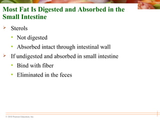 © 2010 Pearson Education, Inc.
Most Fat Is Digested and Absorbed in the
Small Intestine
 Sterols
• Not digested
• Absorbed intact through intestinal wall
 If undigested and absorbed in small intestine
• Bind with fiber
• Eliminated in the feces
 