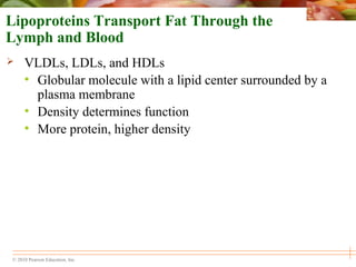 © 2010 Pearson Education, Inc.
Lipoproteins Transport Fat Through the
Lymph and Blood
 VLDLs, LDLs, and HDLs
• Globular molecule with a lipid center surrounded by a
plasma membrane
• Density determines function
• More protein, higher density
 