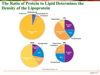 The Ratio of Protein to Lipid Determines the
Density of the Lipoprotein
Figure 5.17
 