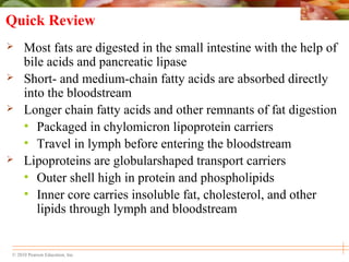 © 2010 Pearson Education, Inc.
Quick Review
 Most fats are digested in the small intestine with the help of
bile acids and pancreatic lipase
 Short- and medium-chain fatty acids are absorbed directly
into the bloodstream
 Longer chain fatty acids and other remnants of fat digestion
• Packaged in chylomicron lipoprotein carriers
• Travel in lymph before entering the bloodstream
 Lipoproteins are globularshaped transport carriers
• Outer shell high in protein and phospholipids
• Inner core carries insoluble fat, cholesterol, and other
lipids through lymph and bloodstream
 