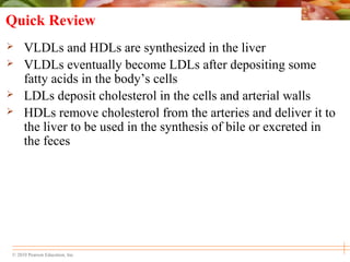 © 2010 Pearson Education, Inc.
Quick Review
 VLDLs and HDLs are synthesized in the liver
 VLDLs eventually become LDLs after depositing some
fatty acids in the body’s cells
 LDLs deposit cholesterol in the cells and arterial walls
 HDLs remove cholesterol from the arteries and deliver it to
the liver to be used in the synthesis of bile or excreted in
the feces
 