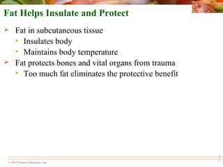 © 2010 Pearson Education, Inc.
Fat Helps Insulate and Protect
 Fat in subcutaneous tissue
• Insulates body
• Maintains body temperature
 Fat protects bones and vital organs from trauma
• Too much fat eliminates the protective benefit
 