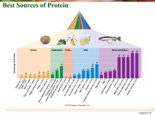 Best Sources of Protein
Figure 6.14
 