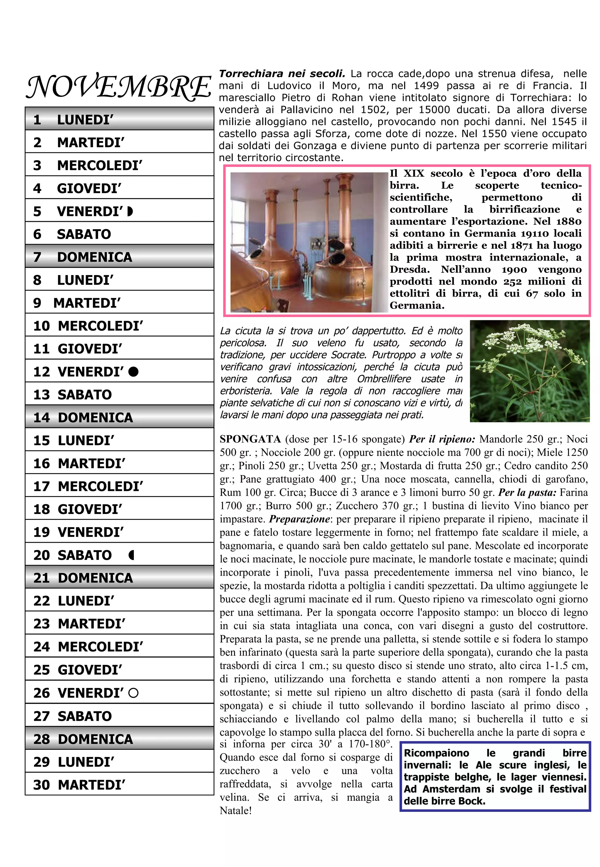 NOVEMBRE Torrechiara nei secoli.   La rocca cade,dopo una strenua difesa,  nelle mani di Ludovico il Moro, ma nel 1499 passa ai re di Francia. Il maresciallo Pietro di Rohan viene intitolato signore di Torrechiara: lo venderà ai Pallavicino nel 1502, per 15000 ducati. Da allora diverse milizie alloggiano nel castello, provocando non pochi danni. Nel 1545 il castello passa agli Sforza, come dote di nozze. Nel 1550 viene occupato dai soldati dei Gonzaga e diviene punto di partenza per scorrerie militari nel territorio circostante.  Il XIX secolo è l’epoca d’oro della birra. Le scoperte tecnico-scientifiche, permettono di controllare la birrificazione e aumentare l’esportazione. Nel 1880 si contano in Germania 19110 locali adibiti a birrerie e nel 1871 ha luogo la prima mostra internazionale, a Dresda. Nell’anno 1900 vengono prodotti nel mondo 252 milioni di ettolitri di birra, di cui 67 solo in Germania.  Ricompaiono le grandi birre invernali: le Ale scure inglesi, le trappiste belghe, le lager viennesi. Ad Amsterdam si svolge il festival delle birre Bock. La cicuta la si trova un po’ dappertutto. Ed è molto pericolosa. Il suo veleno fu usato, secondo la tradizione, per uccidere Socrate. Purtroppo a volte si verificano gravi intossicazioni, perché la cicuta può venire confusa con altre Ombrellifere usate in erboristeria. Vale la regola di non raccogliere mai piante selvatiche di cui non si conoscano vizi e virtù, di lavarsi le mani dopo una passeggiata nei prati. SPONGATA  (dose per 15-16 spongate)  Per il ripieno:  Mandorle 250 gr.; Noci 500 gr. ; Nocciole 200 gr. (oppure niente nocciole ma 700 gr di noci); Miele 1250 gr.; Pinoli 250 gr.; Uvetta 250 gr.; Mostarda di frutta 250 gr.; Cedro candito 250 gr.; Pane grattugiato 400 gr.; Una noce moscata, cannella, chiodi di garofano, Rum 100 gr. Circa; Bucce di 3 arance e 3 limoni burro 50 gr.  Per la pasta:  Farina 1700 gr.; Burro 500 gr.; Zucchero 370 gr.; 1 bustina di lievito Vino bianco per impastare.  Preparazione : per preparare il ripieno preparate il ripieno,  macinate il pane e fatelo tostare leggermente in forno; nel frattempo fate scaldare il miele, a bagnomaria, e quando sarà ben caldo gettatelo sul pane. Mescolate ed incorporate le noci macinate, le nocciole pure macinate, le mandorle tostate e macinate; quindi incorporate i pinoli, l'uva passa precedentemente immersa nel vino bianco, le spezie, la mostarda ridotta a poltiglia i canditi spezzettati. Da ultimo aggiungete le bucce degli agrumi macinate ed il rum. Questo ripieno va rimescolato ogni giorno per una settimana. Per la spongata occorre l'apposito stampo: un blocco di legno in cui sia stata intagliata una conca, con vari disegni a gusto del costruttore. Preparata la pasta, se ne prende una palletta, si stende sottile e si fodera lo stampo ben infarinato (questa sarà la parte superiore della spongata), curando che la pasta trasbordi di circa 1 cm.; su questo disco si stende uno strato, alto circa 1-1.5 cm, di ripieno, utilizzando una forchetta e stando attenti a non rompere la pasta sottostante; si mette sul ripieno un altro dischetto di pasta (sarà il fondo della spongata) e si chiude il tutto sollevando il bordino lasciato al primo disco , schiacciando e livellando col palmo della mano; si bucherella il tutto e si capovolge lo stampo sulla placca del forno. Si bucherella anche la parte di sopra e si inforna per circa 30' a 170-180°. Quando esce dal forno si cosparge di zucchero a velo e una volta raffreddata, si avvolge nella carta velina. Se ci arriva, si mangia a Natale! 11  GIOVEDI’ 12  VENERDI’   14  DOMENICA 13  SABATO 15  LUNEDI’ 16  MARTEDI’ 18  GIOVEDI’ 17  MERCOLEDI’ 19  VENERDI’ 20  SABATO   22  LUNEDI’ 21  DOMENICA 23  MARTEDI’ 24  MERCOLEDI’ 2  MARTEDI’ 1  LUNEDI’ 3  MERCOLEDI’ 4  GIOVEDI’ 6  SABATO 5  VENERDI’   7  DOMENICA 8  LUNEDI’ 10  MERCOLEDI’ 9  MARTEDI’ 25  GIOVEDI’ 26  VENERDI’   27  SABATO 29  LUNEDI’ 28  DOMENICA 30  MARTEDI’ 
